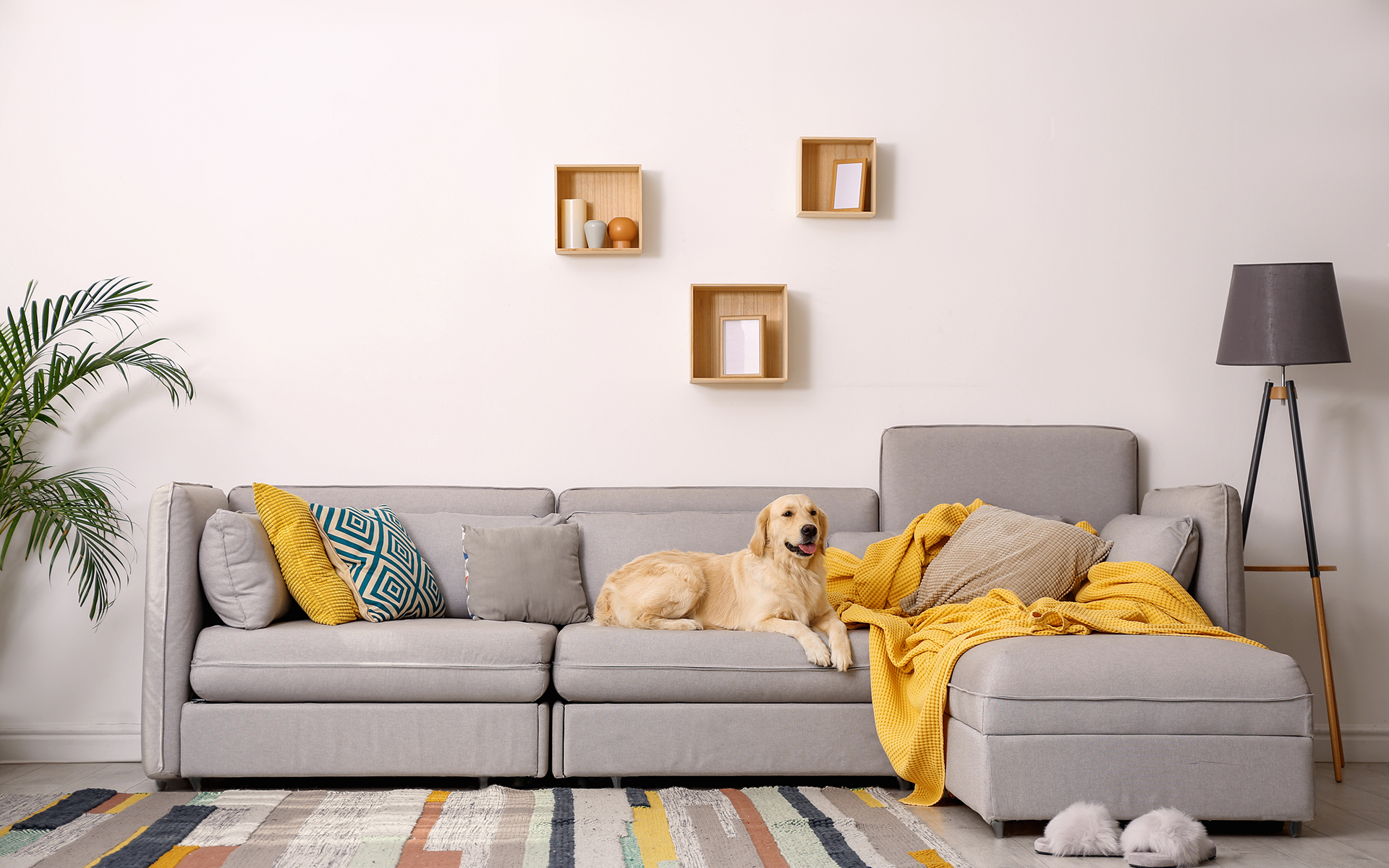 Bijzondere liefdesnestjes in Nederland